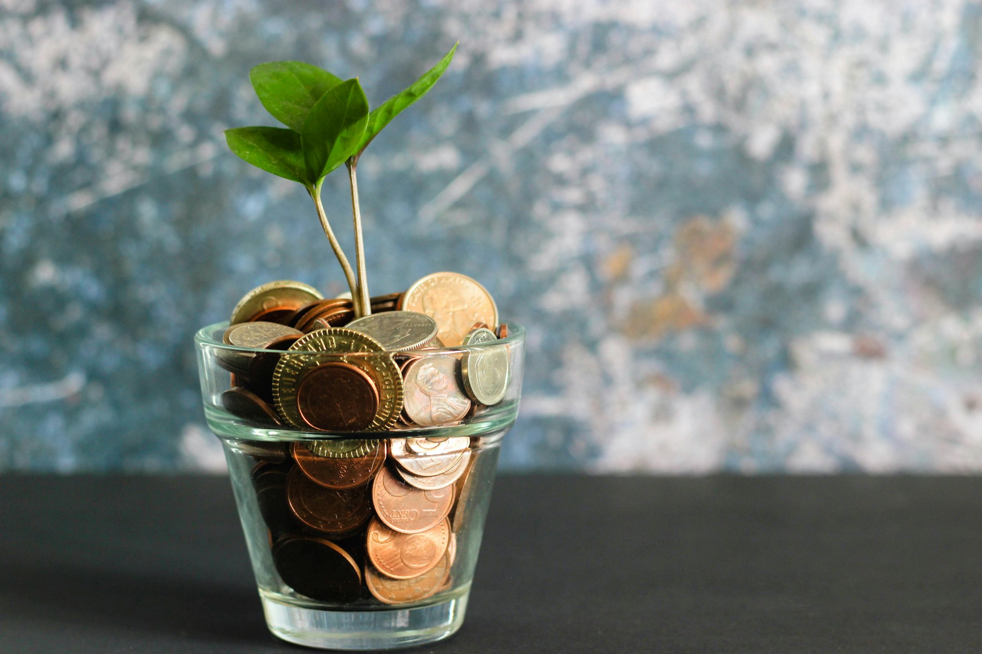 Glass with coins in it and a plant growing out of it.